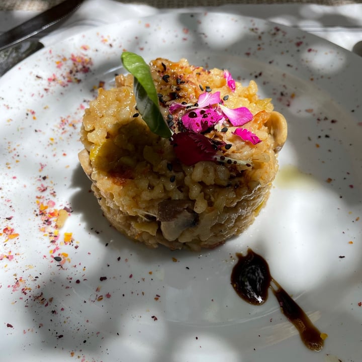 photo of El Invernadero Restaurante Risotto Vegana Con Setas shared by @andreacantto on  07 Aug 2021 - review
