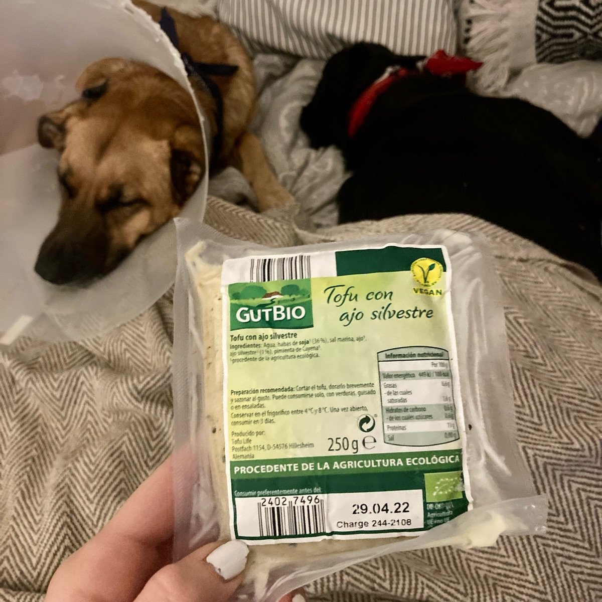 GutBio Tofu con Ajo Silvestre Reviews abillion