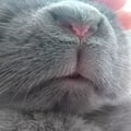 mielmiel @mielmiel profile image