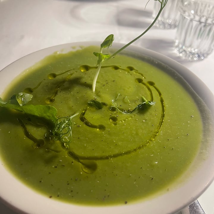 photo of Restoran Karlo Tvrdjava zuppa di broccoli shared by @elisapagliarella on  28 Aug 2022 - review