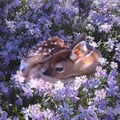 veganlove96 @veganlove96 profile image