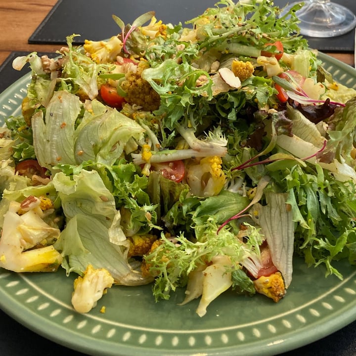 photo of Grão Fino Salada Verde shared by @vivianabis1979 on  19 Jun 2022 - review