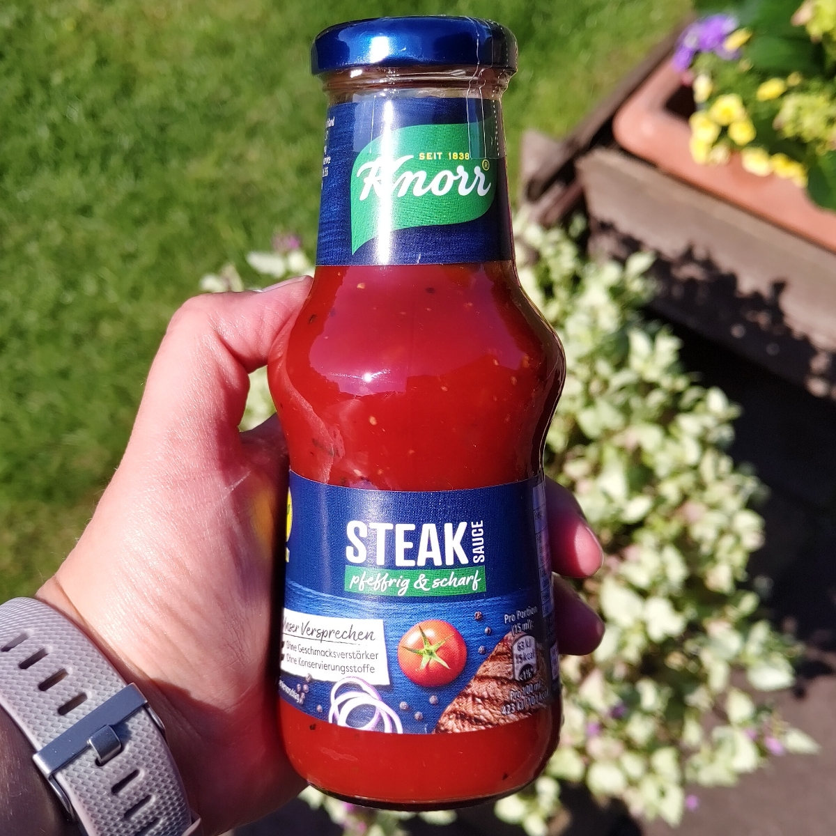 Knorr Steak Sauce Reviews abillion