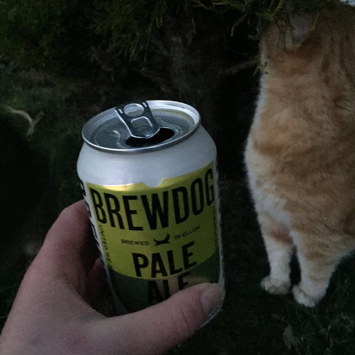 photo of Brewdog Pale Ale shared by @peanut79 on  27 Feb 2021 - review