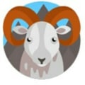 @viukyveganfood profile image