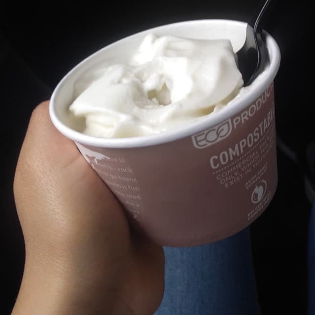 Foto del piatto “Vegan ice cream”