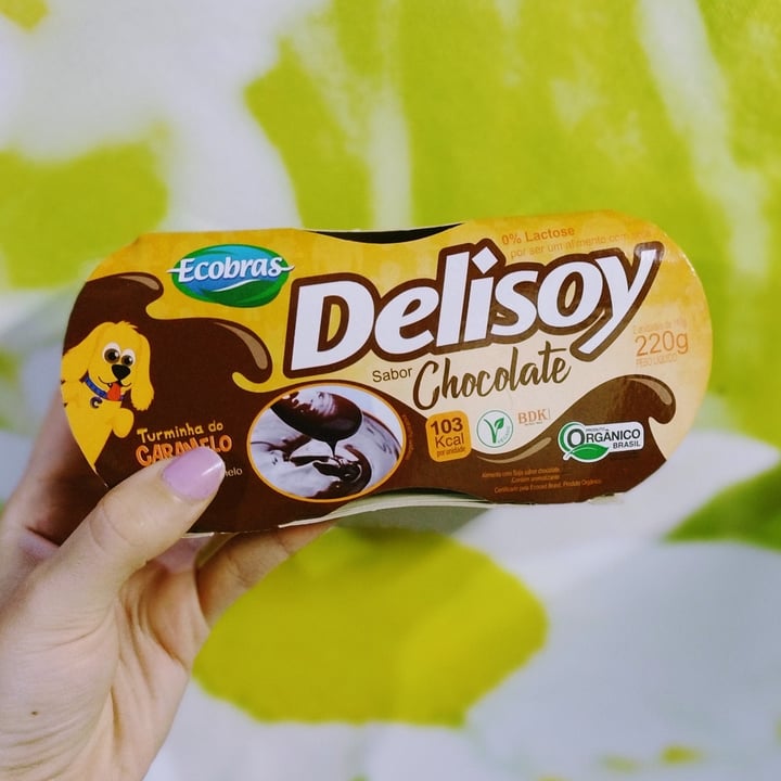photo of Delisoy Iogurte De Chocolate shared by @lauhss on  03 Apr 2022 - review