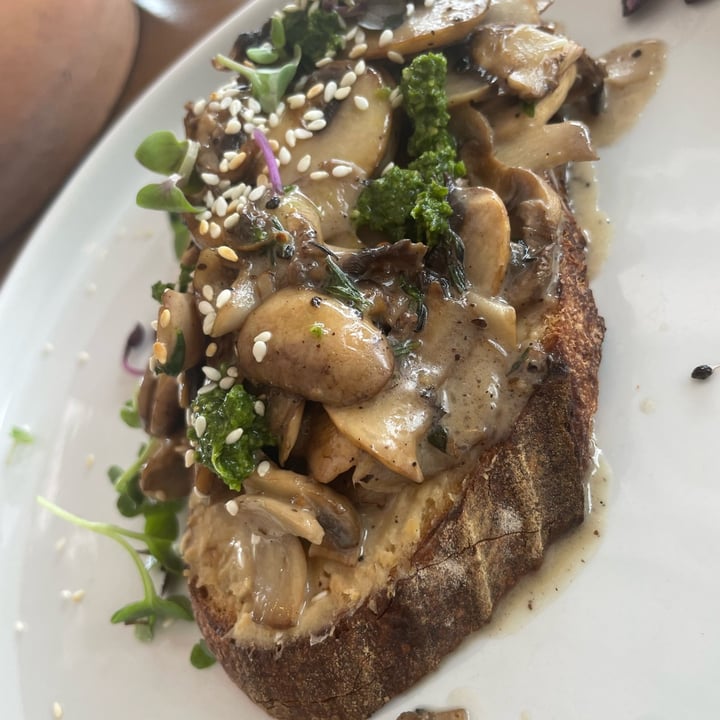 photo of Wildsprout Creamy Mushroom Toast shared by @mariajamison on  07 Apr 2022 - review