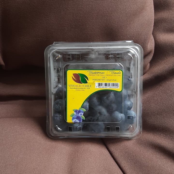 review photo of vivoagro chile blueberries shared by @laji on 02 Feb 2022 - review