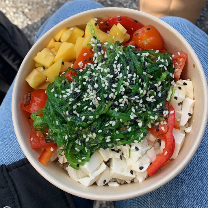 review photo of Pokè Flash Pisa Poke Vegano shared by @rebeccatomei on 11 Mar 2022 - review