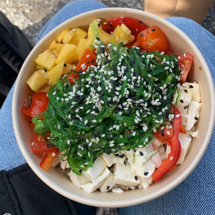 photo of Pokè Flash Pisa Poke Vegano shared by @rebeccatomei on  11 Mar 2022 - review