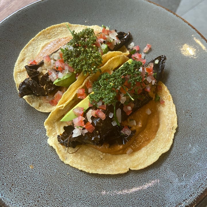 photo of Ojo de Maíz Tacos de chile relleno shared by @moonberodd on  07 May 2021 - review