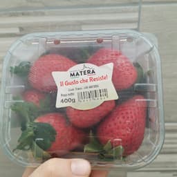 Fragola Matera