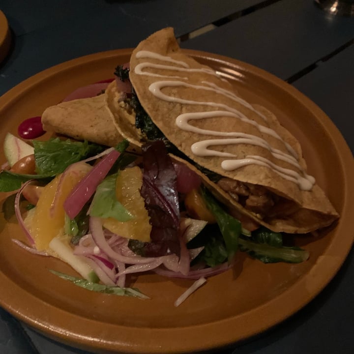 photo of Oleada Plant Based Quesadilla Green shared by @canica on  25 Jun 2021 - review