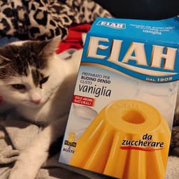 Elah