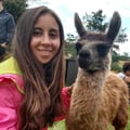 andreitaduarte @andreitaduarte profile image