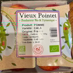 Vieux pointet