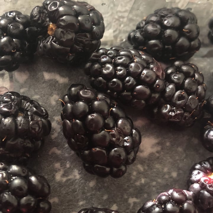 photo of Driscoll’s Blackberries shared by @lovespigs on  02 Jul 2022 - review