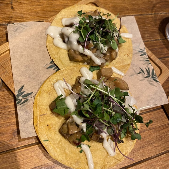 photo of Gallo Santo Tacos de setas shared by @annacireragros on  23 Feb 2022 - review