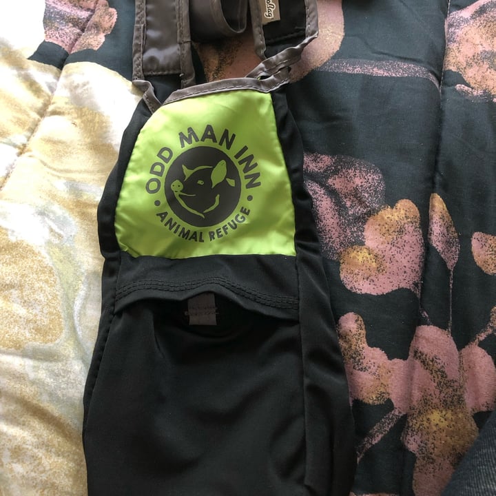 photo of odd man inn products Water Bottle Sling shared by @kikilane007 on  30 May 2022 - review