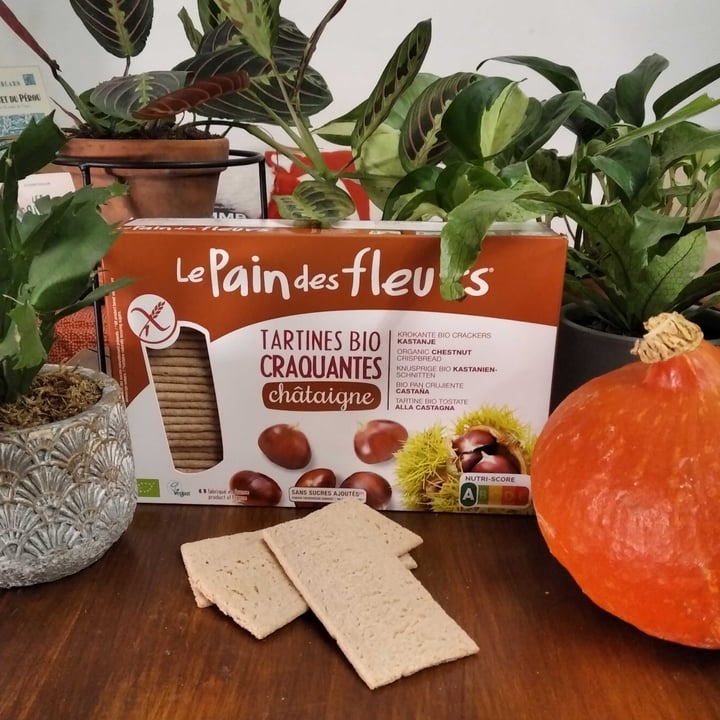 review photo of Le Pain des Fleurs Tartines bio craquantes châtaigne shared by @dindinbaf on 23 Oct 2020 - review