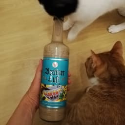 Berliner Luft
