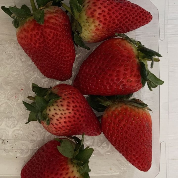 photo of Freshmark Strawberries shared by @amymcc on  30 Sep 2021 - review