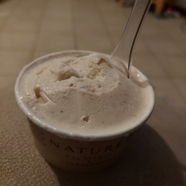 Foto do prato “Gelato puro zero”
