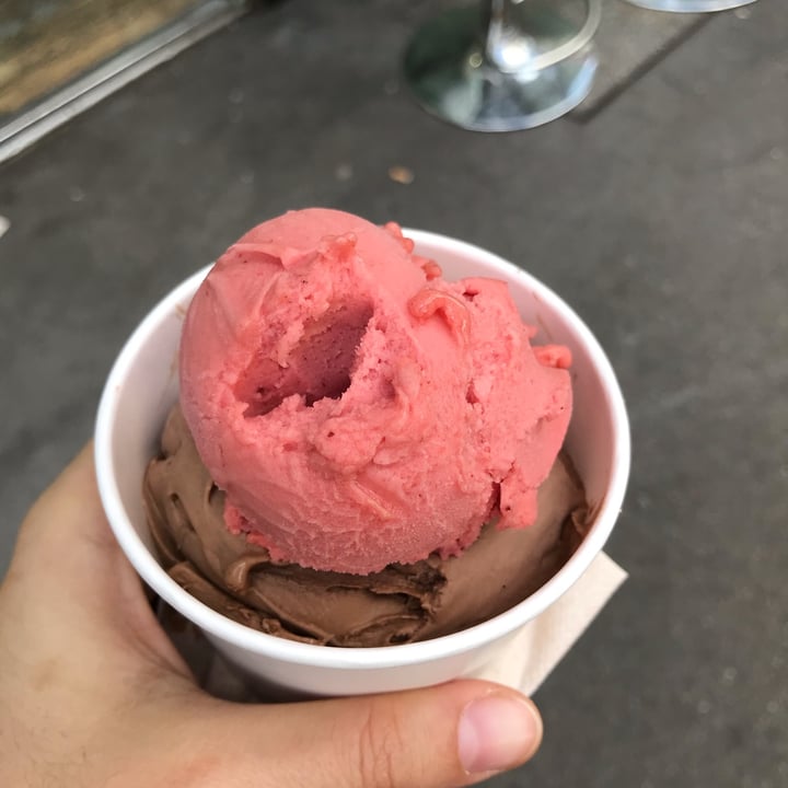 photo of Gelato Gelato cicocolato e fragola shared by @nisidamasullo on  03 Sep 2022 - review