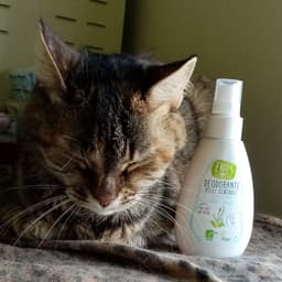 Ekos personal care