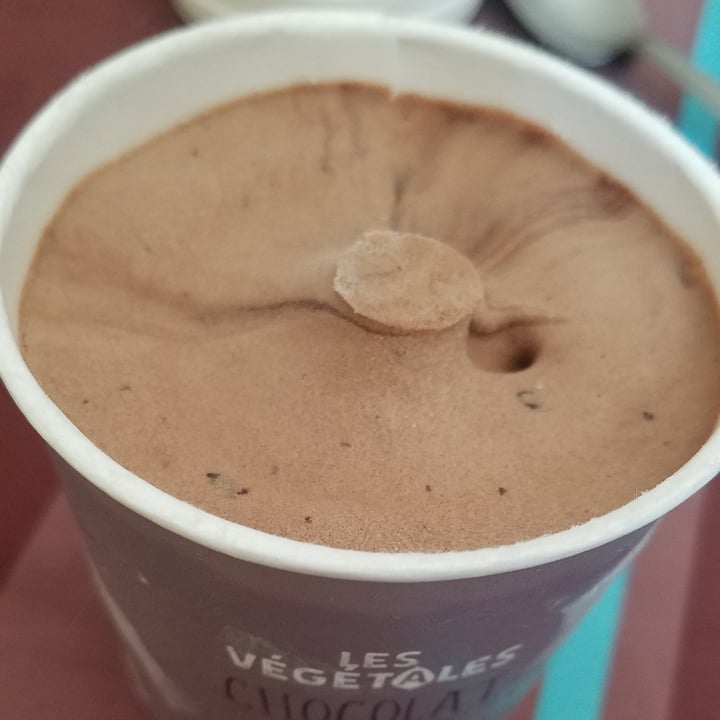 photo of Picard Glace Chocolat Sauce Chocolat shared by @uncourantdevert on  11 May 2020 - review