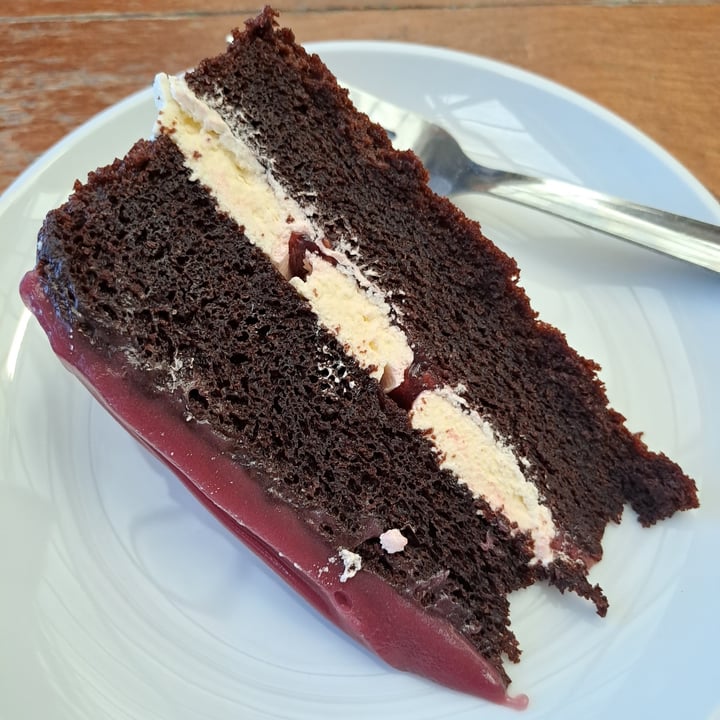 photo of Squire’s Garden Centre vegan chocolate and raspberry cake shared by @nickyv on  10 Jun 2022 - review