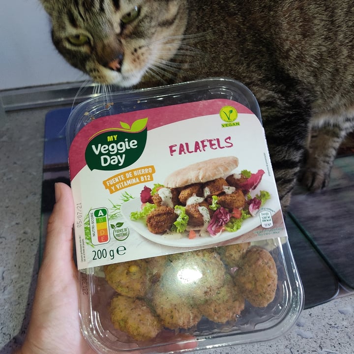 photo of My veggie day Falafels shared by @anniev on  18 Jun 2021 - review