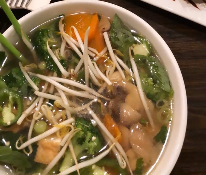 review photo of Indochine Restaurant V4 Phô Noodles shared by @urmijain on 19 Oct 2019 - review