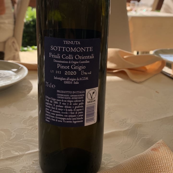 review photo of tenuta sottomonte Pinot Grigio shared by @ischarotate on 23 Oct 2022 - review