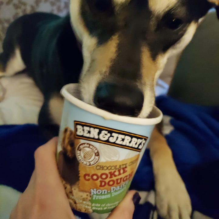 photo of Ben & Jerry's Chocolate Chip Cookie Dough shared by @mikvegan on  19 May 2022 - review