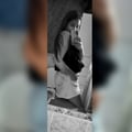 rociogiselle @rociogiselle profile image