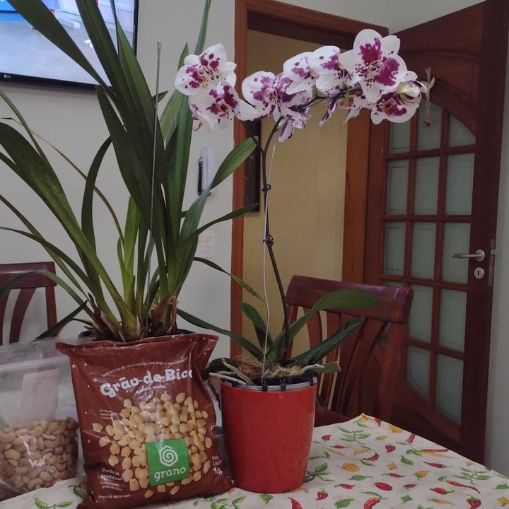review photo of Grano Grão De Bico Congelado shared by @sloddi on 08 May 2022 - review