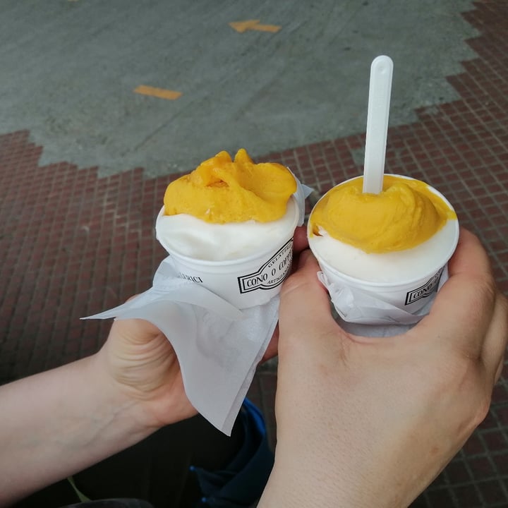 photo of Gelateria Artigianale Gelato limone e mango shared by @grippin80 on  17 May 2022 - review