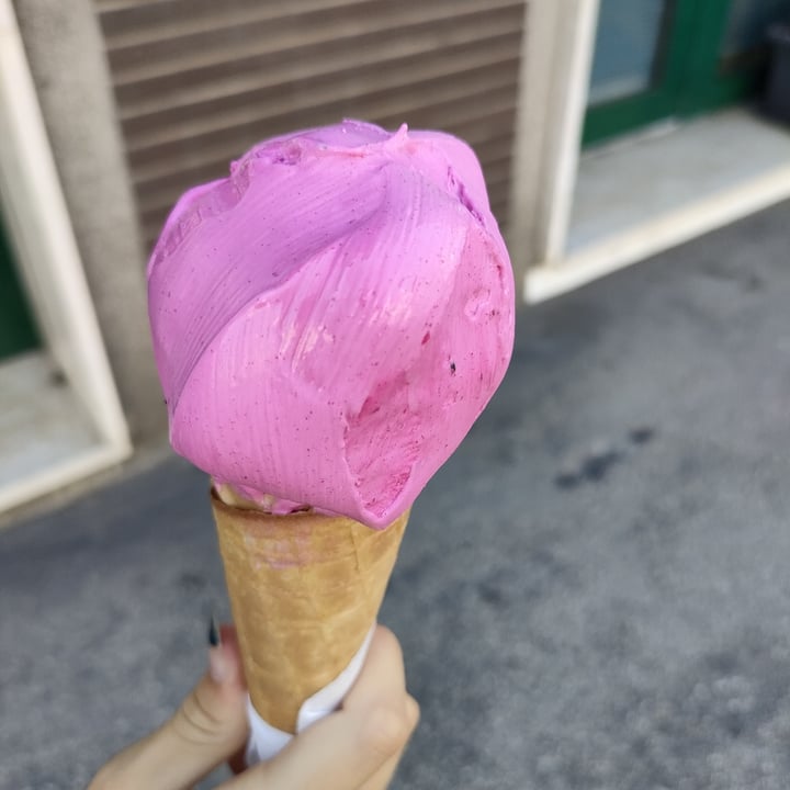 photo of Gelateria Ice Cream Lolly gelato dragon summer shared by @elena312 on  12 Jul 2022 - review