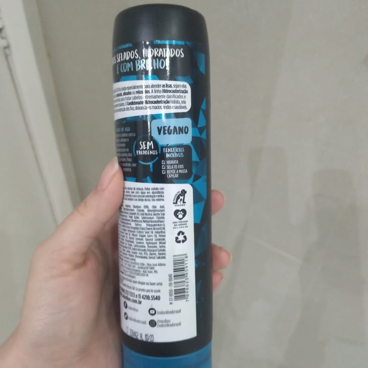 review photo of Salon line Condicionador Meu Liso Brilho shared by @leticiariibeiro on 22 Apr 2022 - review