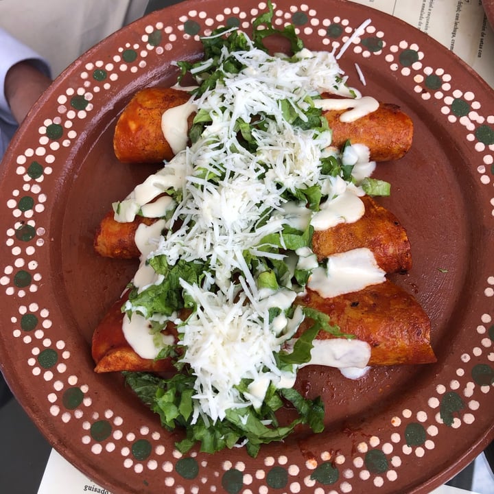 photo of Mictlan Antojitos Veganos Chiltlaxcalli enchiladas en salsa roja rellenas de papa y zanahoria shared by @susylhoist on  21 Mar 2022 - review