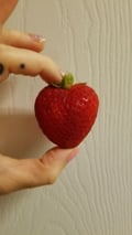 @thelittleavocado profile image