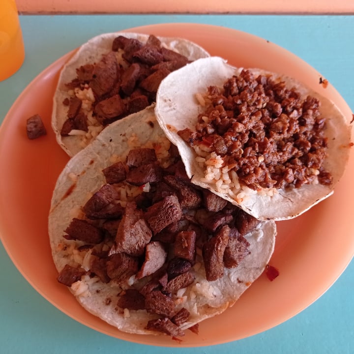 photo of Tacotlan Vegano Tacos de Carnitas de Soya shared by @mayraponze on  09 Jan 2022 - review