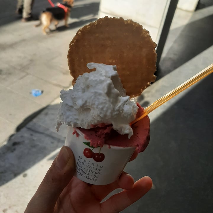 photo of VanillaBio Gelato shared by @alis00 on  24 Apr 2022 - review