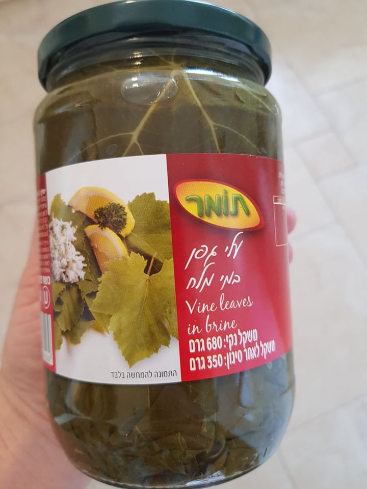 photo of תומר עלי גפן shared by @iritcohen on  15 Feb 2020 - review