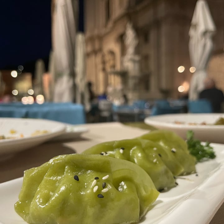 photo of Tokyo Gyoza Alle Verdure shared by @bresciaveg on  11 Aug 2022 - review