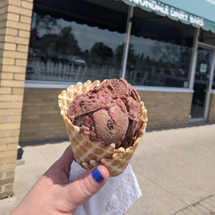 review photo of Avondale Dairy Bar Chocolate Raspberry Vegan Ice Cream shared by @anastasiasaur on 13 Jun 2021 - review