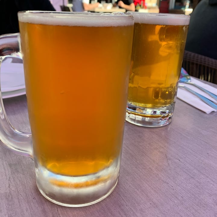photo of Plumeria Vegetarian Encinitas stone delicious IPA shared by @unejanie on  07 Jan 2022 - review