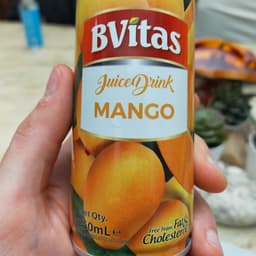 B vida